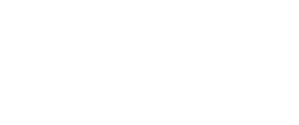 sap-01.png
